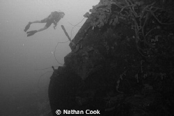 Helma Hooker.. by Nathan Cook 